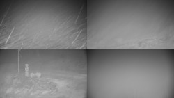 Sdružený snímek okolí chaty Myslivna