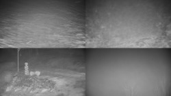 Sdružený snímek okolí chaty Myslivna