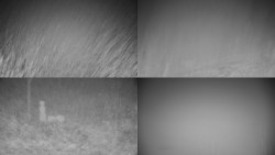 Sdružený snímek okolí chaty Myslivna