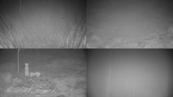 Sdružený snímek okolí chaty Myslivna