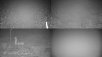 Chata Myslivna SKP Olomouc