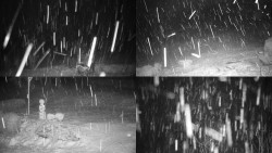 Sdružený snímek okolí chaty Myslivna