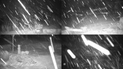 Sdružený snímek okolí chaty Myslivna