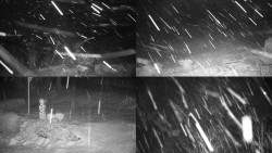 Sdružený snímek okolí chaty Myslivna