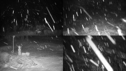 Sdružený snímek okolí chaty Myslivna