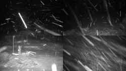 Sdružený snímek okolí chaty Myslivna