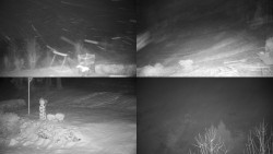 Sdružený snímek okolí chaty Myslivna