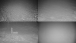 Sdružený snímek okolí chaty Myslivna