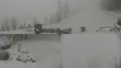 Sdružený snímek okolí chaty Myslivna