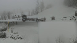 Sdružený snímek okolí chaty Myslivna