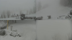 Sdružený snímek okolí chaty Myslivna