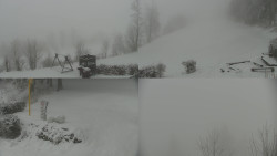 Sdružený snímek okolí chaty Myslivna