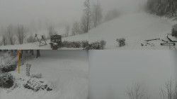 Sdružený snímek okolí chaty Myslivna