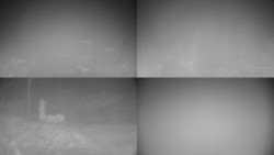 Sdružený snímek okolí chaty Myslivna