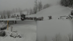 Sdružený snímek okolí chaty Myslivna