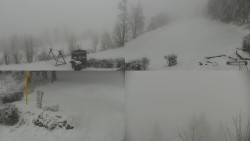 Sdružený snímek okolí chaty Myslivna