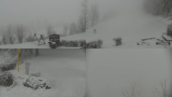 Sdružený snímek okolí chaty Myslivna