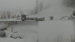 Sdružený snímek okolí chaty Myslivna