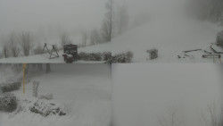 Sdružený snímek okolí chaty Myslivna