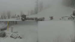 Sdružený snímek okolí chaty Myslivna