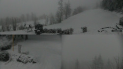 Sdružený snímek okolí chaty Myslivna