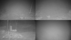 Sdružený snímek okolí chaty Myslivna