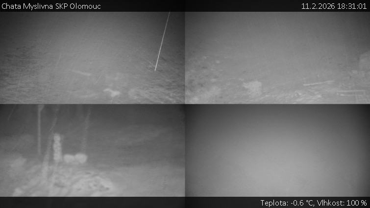 Chata Myslivna SKP Olomouc - Sdružený snímek okolí chaty Myslivna - 11.2.2026 v 18:31