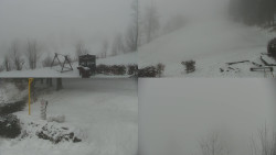 Sdružený snímek okolí chaty Myslivna