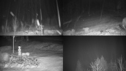 Sdružený snímek okolí chaty Myslivna