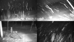 Sdružený snímek okolí chaty Myslivna