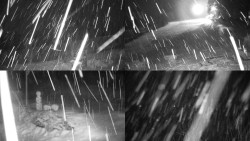 Sdružený snímek okolí chaty Myslivna