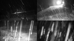 Sdružený snímek okolí chaty Myslivna