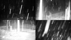 Sdružený snímek okolí chaty Myslivna