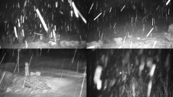 Sdružený snímek okolí chaty Myslivna