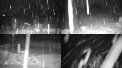 Sdružený snímek okolí chaty Myslivna