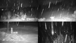 Sdružený snímek okolí chaty Myslivna