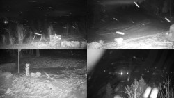 Sdružený snímek okolí chaty Myslivna