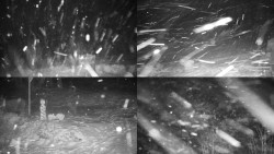 Sdružený snímek okolí chaty Myslivna