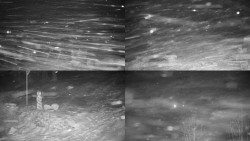 Sdružený snímek okolí chaty Myslivna