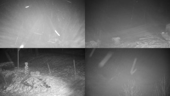 Chata Myslivna SKP Olomouc