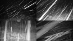 Sdružený snímek okolí chaty Myslivna