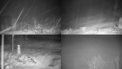 Sdružený snímek okolí chaty Myslivna