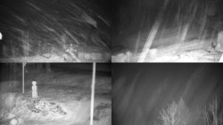 Sdružený snímek okolí chaty Myslivna