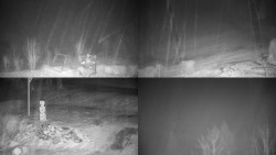 Sdružený snímek okolí chaty Myslivna