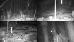 Sdružený snímek okolí chaty Myslivna