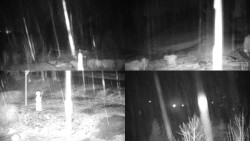 Sdružený snímek okolí chaty Myslivna