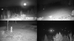 Sdružený snímek okolí chaty Myslivna