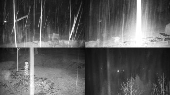 Chata Myslivna SKP Olomouc