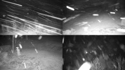 Sdružený snímek okolí chaty Myslivna