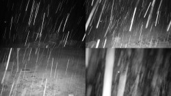 Sdružený snímek okolí chaty Myslivna